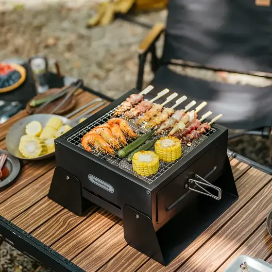 باربیکیو نیچرهایک مدل CNK2450CF017