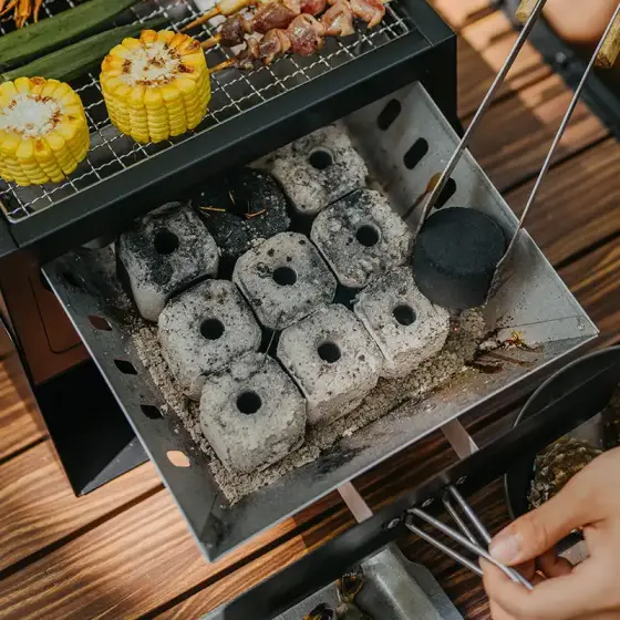 باربیکیو نیچرهایک مدل CNK2450CF017